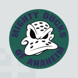 Anaheim ducks 2